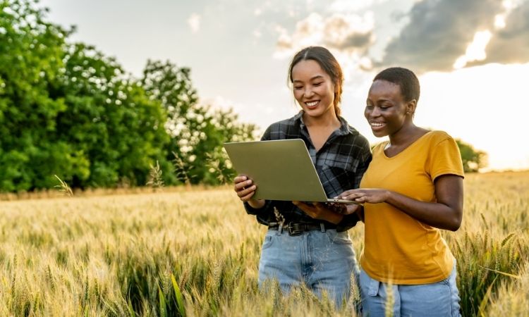 MAPFRE avança com programa de capacitação em seguro agro para colaboradores