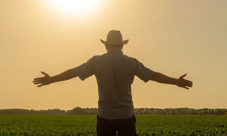 O mundo dos seguros como uma importante ferramenta de apoio ao agronegócio