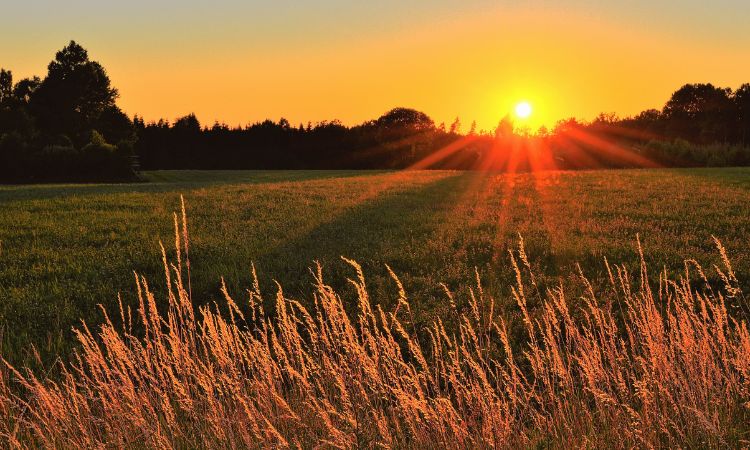 Apesar do desafio climático, seguro rural pode avançar