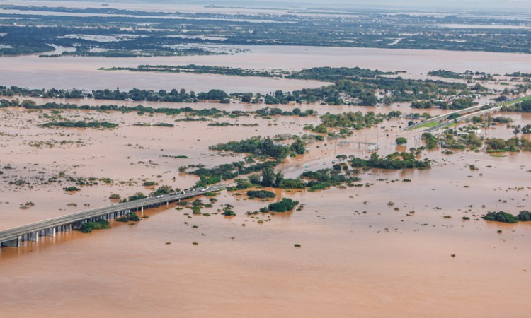 Estudo revela que a agricultura do Rio Grande do Sul já soma prejuízo acima de R$ 423 milhões