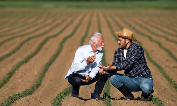 Seguro agrícola é beneficiado por avanços do Zarc da soja