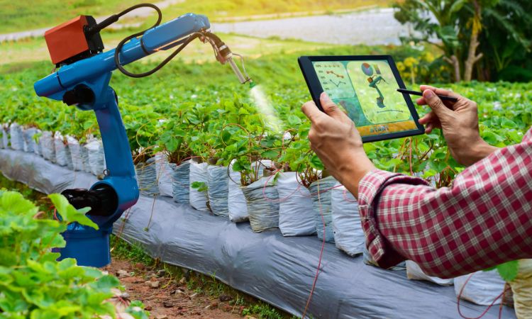 A modernização do campo brasileiro tem a tecnologia também fora da porteira