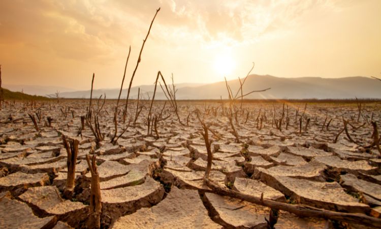 Impactos climáticos severos do El Niño e La Niña ameaçam resiliência econômica na América Latina