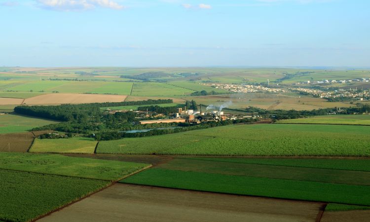 Celeiro do mundo, agro brasileiro precisa trazer a debate mais pautas sobre o clima