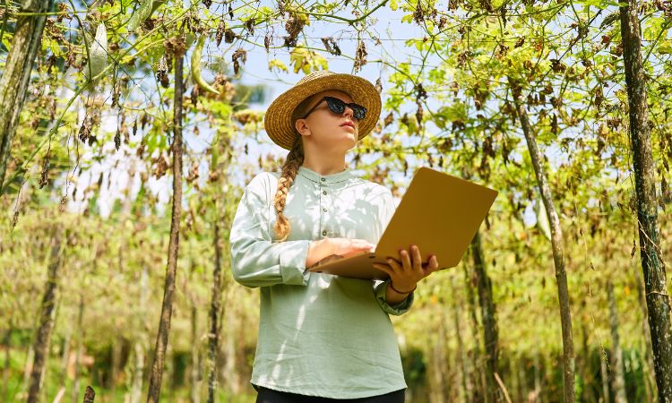 O impacto da expansão do crédito no agronegócio brasileiro