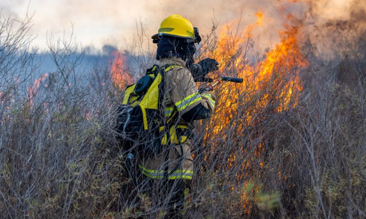 Faesp pede novas medidas ao governo para apoiar produtores rurais afetados por incêndios em SP