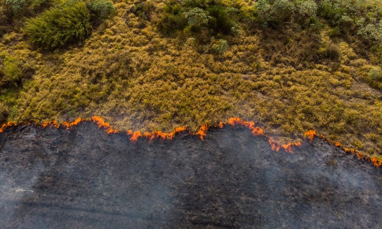 Mitigando impactos das mudanças climáticas