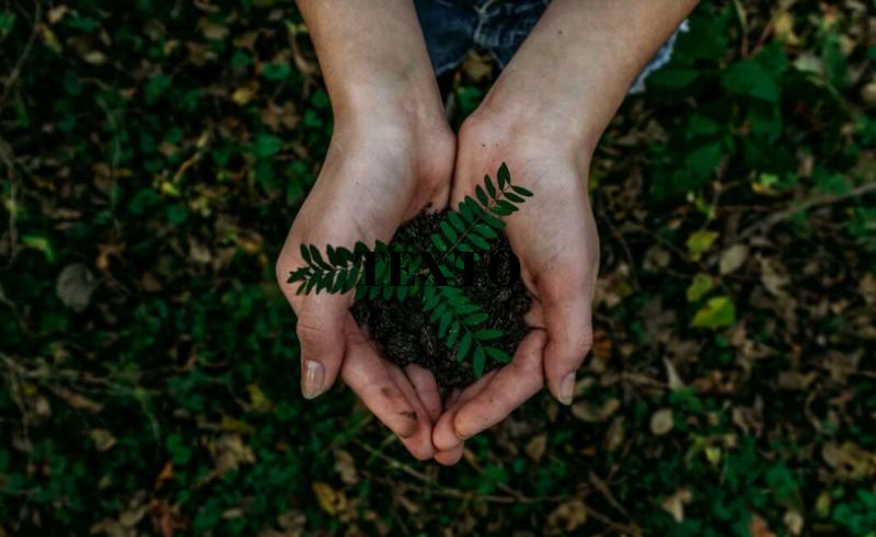 Seguros sustentáveis: a resposta do setor para os desafios climáticos