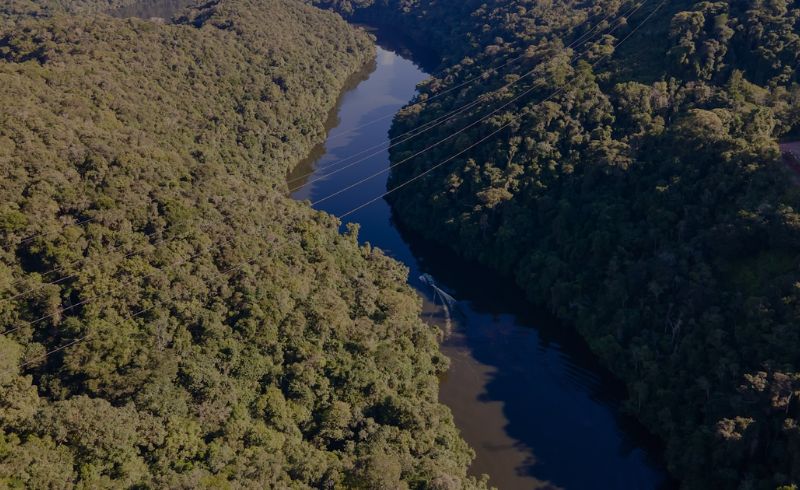 ‘Floresta MAPFRE’ alcança 30 mil mudas plantadas e inicia nova etapa do projeto