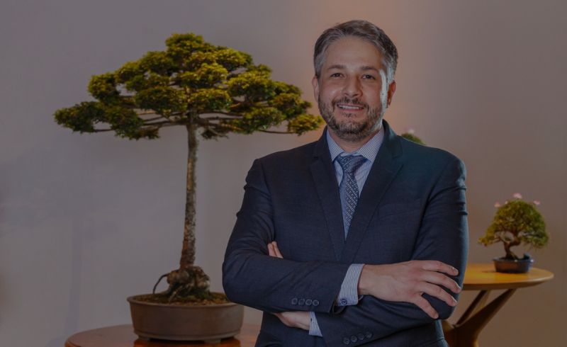 Taxação dos EUA: um alerta para o setor florestal brasileiro e para cadeia produtiva