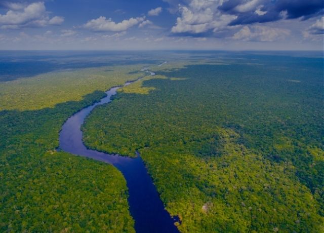 COP 30: CNseg começa a construir Casa do Seguro