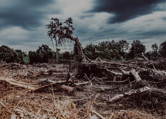 Riscos ambientais, tecnologias emergentes e empoderamento do consumidor estão transformando o setor de seguros, diz estudo da Deloitte