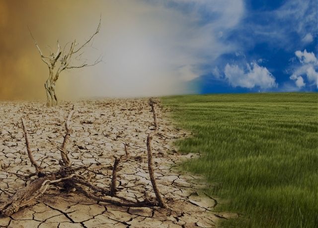 Seguro agrícola e paramétrico: caminhos da proteção no campo