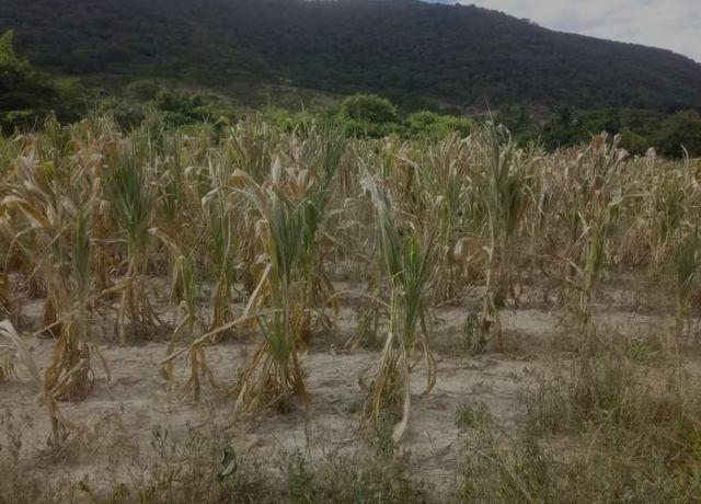 Produtores rurais ampliam alerta sobre mudanças climáticas no Brasil