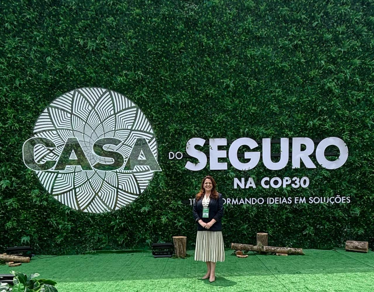 O novo marco do risco climático