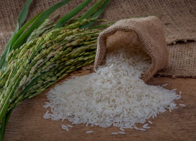 Subvenção de até R$ 167 milhões mira estabilidade de preços do arroz e do trigo