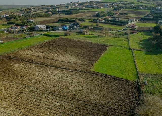 Seguro rural: proposta para garantir mais estabilidade da renda no campo avança