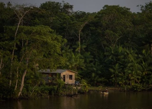 Levantamento mostra vazios fundiários e passivos ambientais na aplicação do Código Florestal