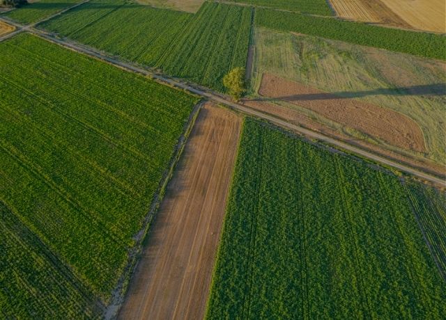 Agropecuária avança 11,7% e sustenta desempenho da economia em 2025