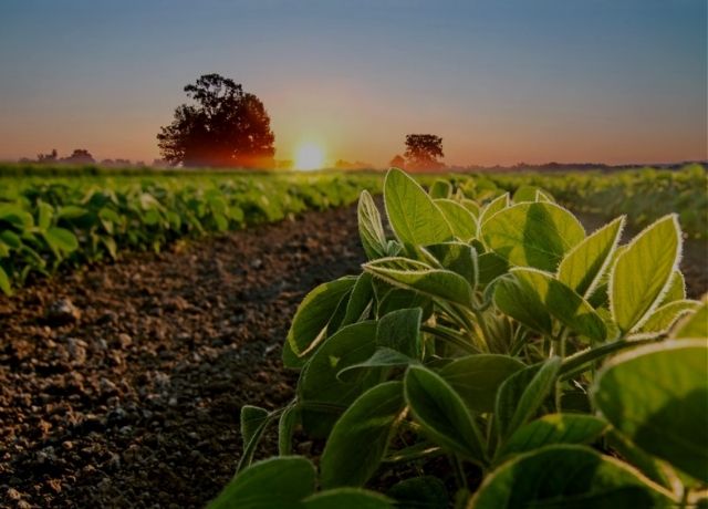Projeto que moderniza o seguro rural avança na Câmara e pode ser votado nos próximos dias