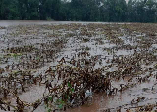 FGV Agro aponta limitações no modelo de seguro rural paramétrico proposto pelo governo
