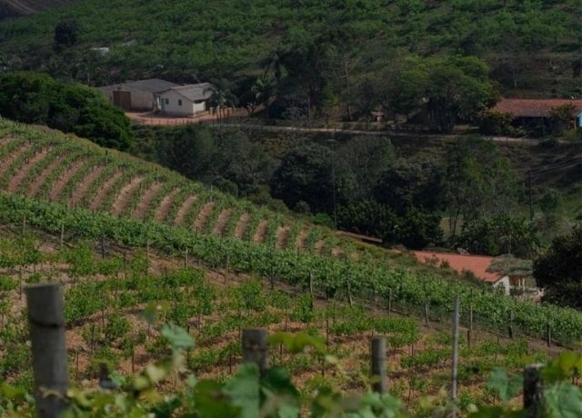 Jundiaí fortalece apoio ao produtor rural com nova lei e amplia incentivos à produção sustentável