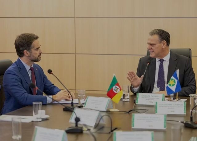 Proposta para novo modelo de seguro rural avança no governo e deve integrar Plano Safra