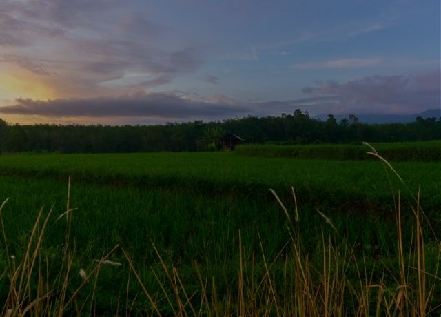 Seguro rural encolhe e expõe fragilidade do agro diante de riscos climáticos