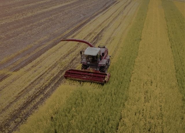 Seguro rural ganha protagonismo em proposta da CNA para o Plano Safra 2026/27