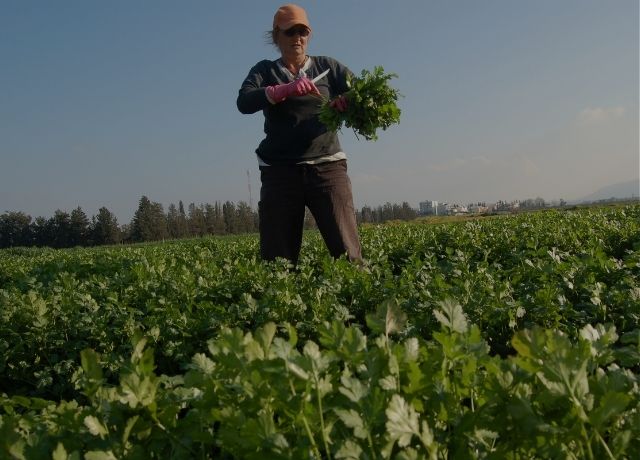 São Paulo ultrapassa R$ 128 milhões em compras da agricultura familiar