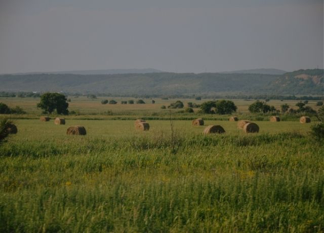 Seguro rural encolhe e área segurada atinge menor nível desde 2015