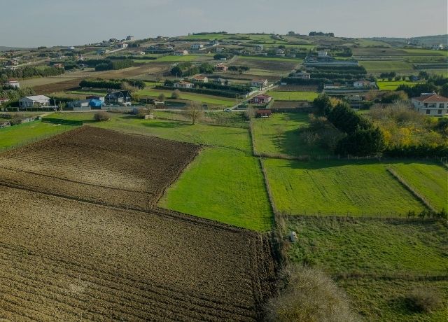 Webinar da FGV Agro e Meridiana expõe gargalos e caminhos para o seguro rural no Brasil