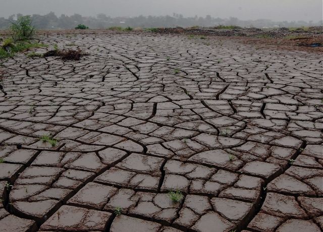 Retorno do El Niño em 2026 exige revisão de coberturas e coloca agronegócio em alerta máximo