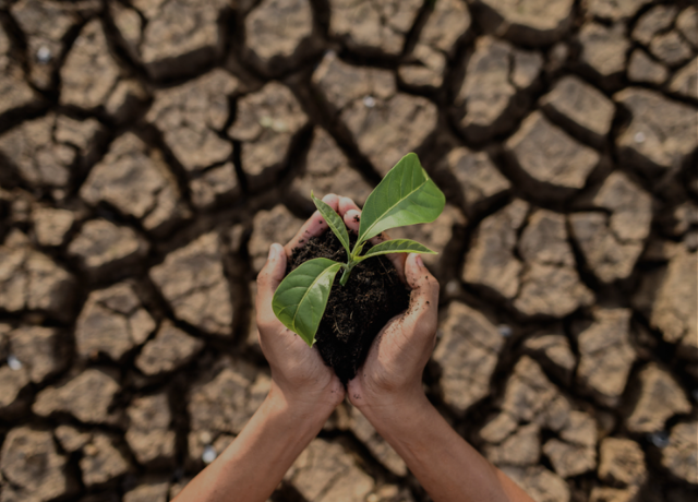 Resseguro ganha protagonismo no agro diante da escalada do risco climático e da pressão sobre o crédito rural