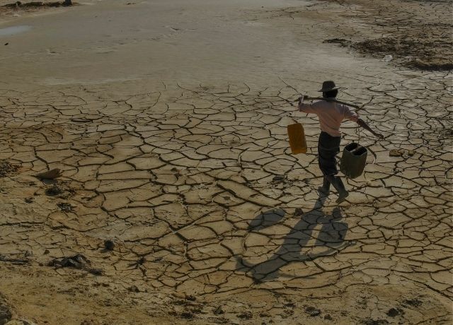 Clima deixa de ser apenas fator de prejuízo e passa a orientar estratégias de gestão de risco no agronegócio
