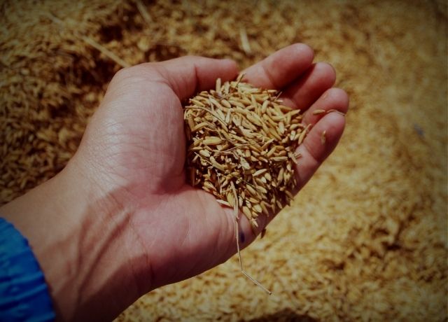 Capacidade de armazenagem cresce 1,1%, mas déficit ainda preocupa setor