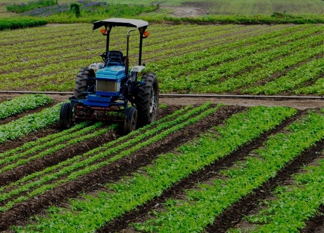Tarifaço vai atingir 36,5% das exportações do agronegócio aos EUA, diz CNA