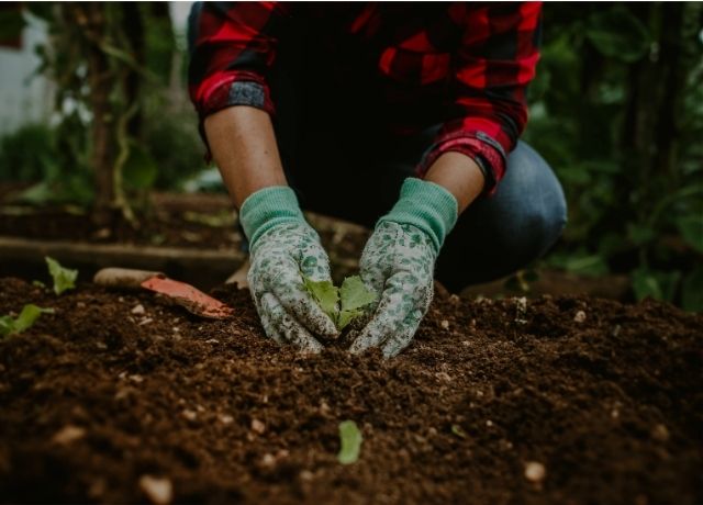 Plano Safra ignora realidade do campo e amplia preocupação com o futuro da produção
