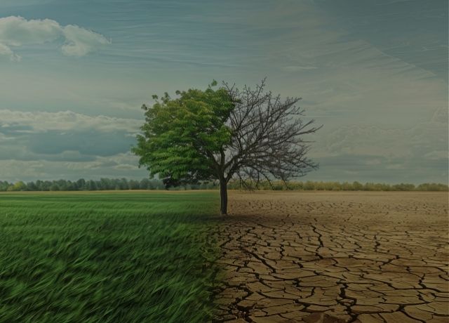Seguro rural enfrenta novo desafio diante da escalada dos riscos climáticos