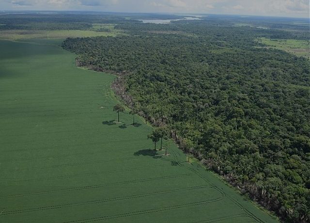 Coalizão Brasil inclui seguro rural entre prioridades para enfrentar efeitos de um Super El Niño