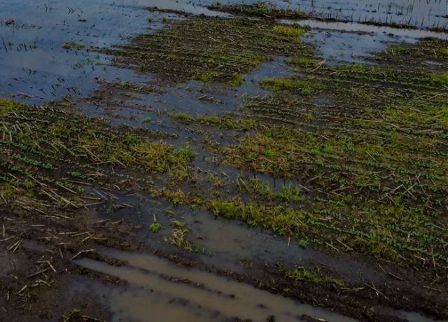 El Niño pode pressionar custo do seguro rural em meio à baixa cobertura no campo