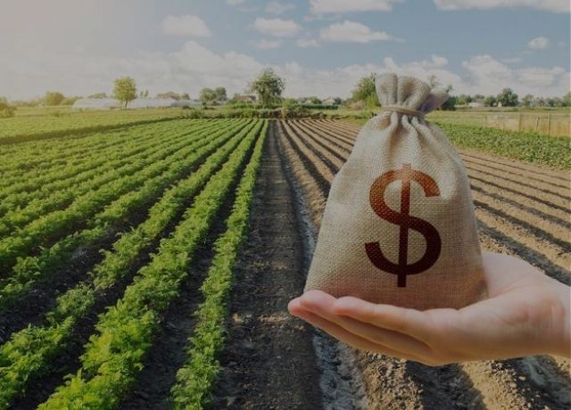 Renegociação de dívidas custará o equivalente à proteção de 20,5 milhões de hectares pelo seguro rural