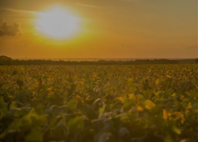 Embrapa propõe 163 medidas para ajudar produtor rural a reduzir perdas provocadas pelo clima