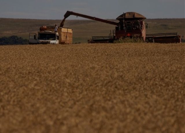 Orçamento de 2027 prevê R$ 1,2 bilhão para seguro rural, metade do necessário para ampliar proteção ao produtor