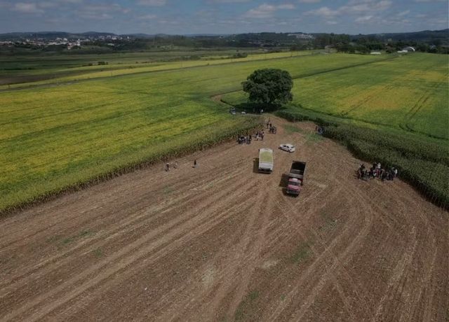 TCU questiona exigência de atestado que aumenta custos para produtor acessar crédito rural