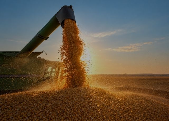 El Niño ameaça produtividade da soja na safra 2026/27, aponta estudo da MeteoIA